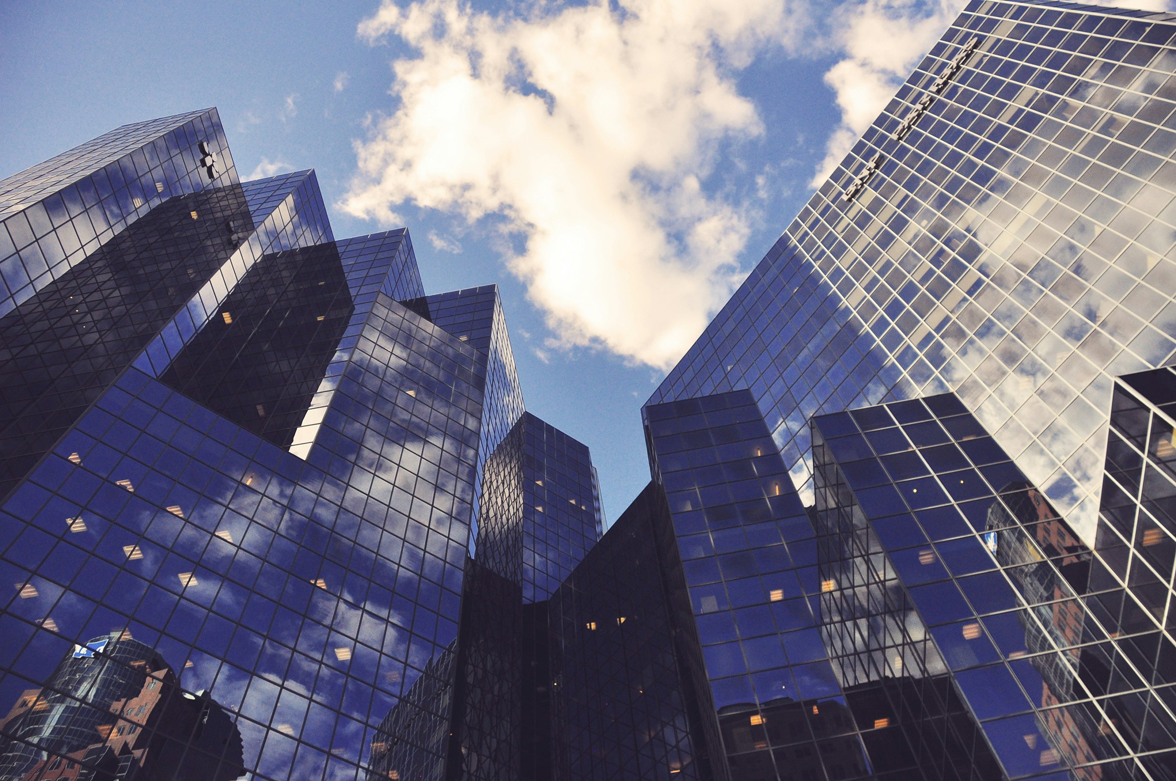Reach for the Stars: 5 Must-Have Tips on How to Set and Reach Your Business Goals